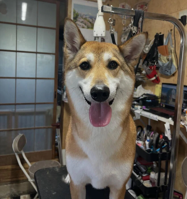 ブログ画像