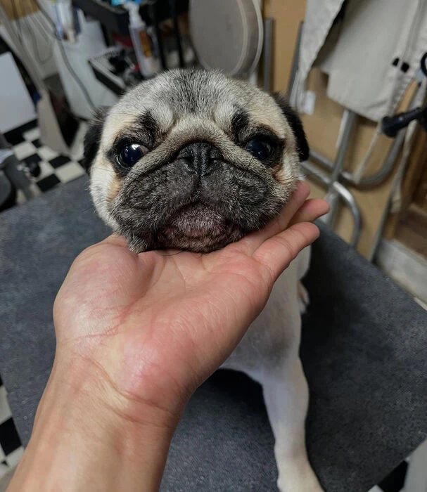 ブログ画像