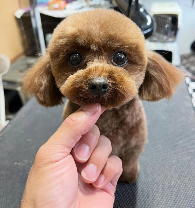 ブログ画像