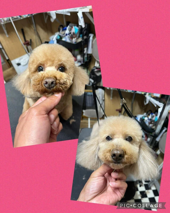 ブログ画像