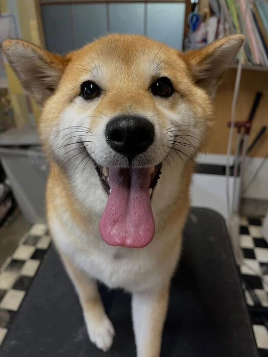 ブログ画像