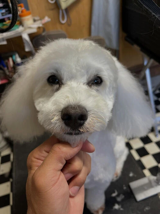 ブログ画像