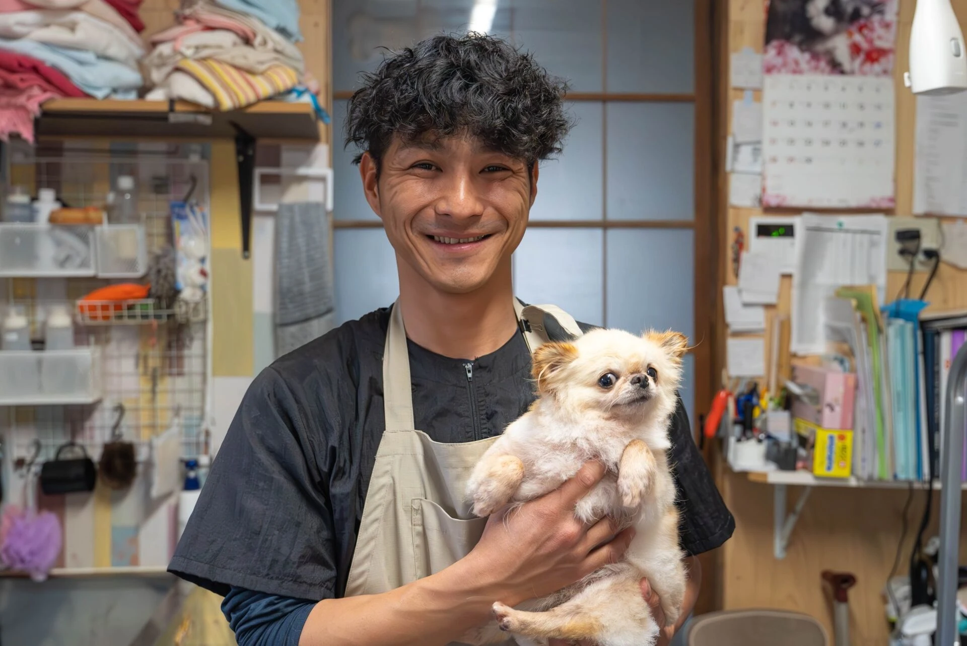 小型犬